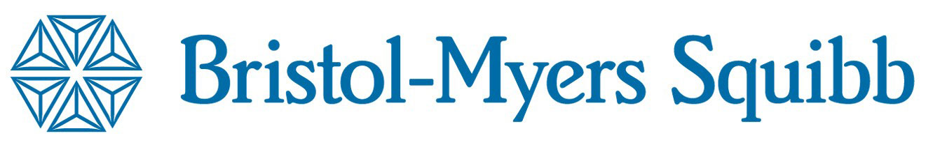 27387-hi-logo_bms