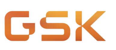 gsk2.png